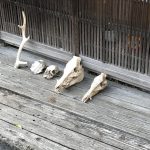 画像投稿テスト