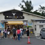 旅日記：奄美大島編 その4