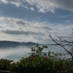 旅日記：奄美大島編 その5