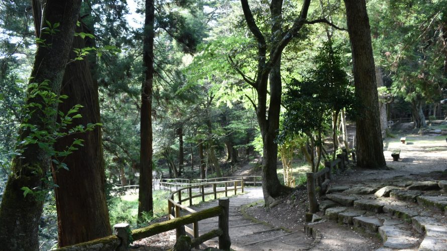 近況-2020-05-08。
